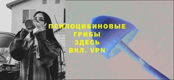 хмурый Новодвинск