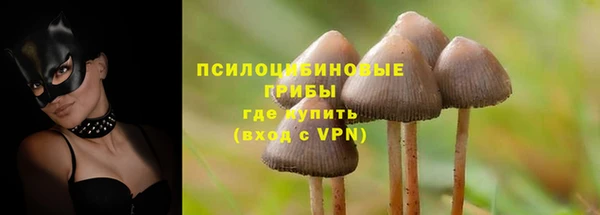 соль курить ск Няндома