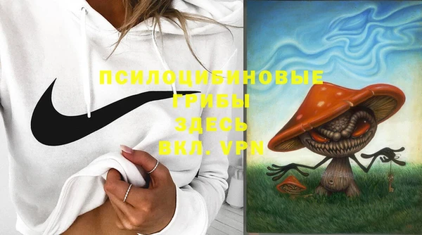 ALPHA PVP Осинники