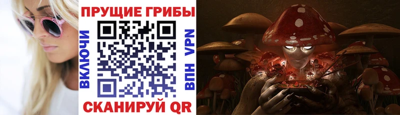 Псилоцибиновые грибы Magic Shrooms  MEGA зеркало  Нижняя Тура 
